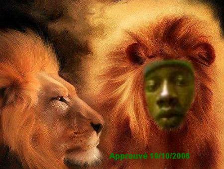 lioin